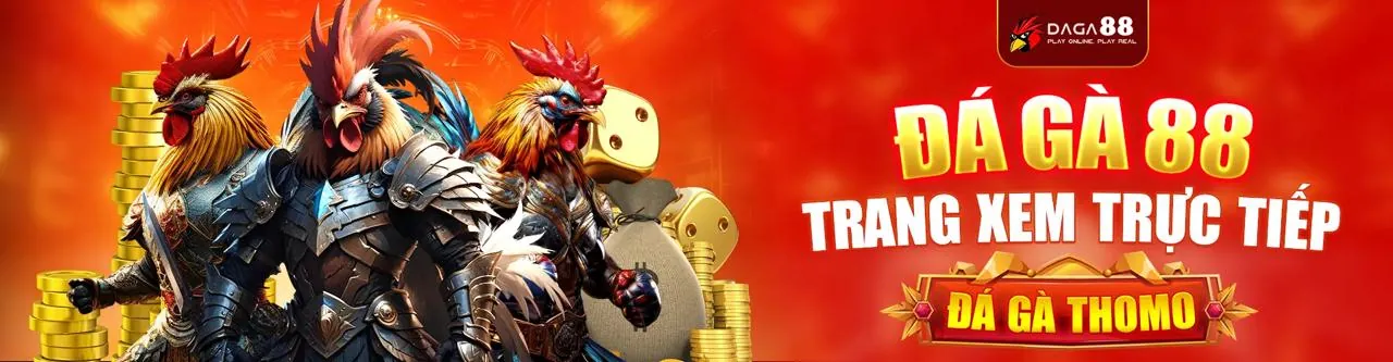 Hình ảnh đại diện cho Điều khoản Dịch vụ của 189bet casino