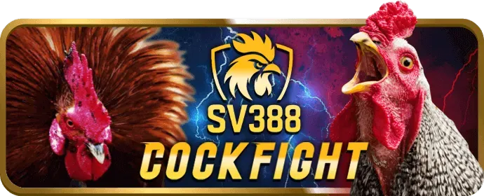 Hoàn Trả Hàng Ngày Không Giới Hạn 189BET