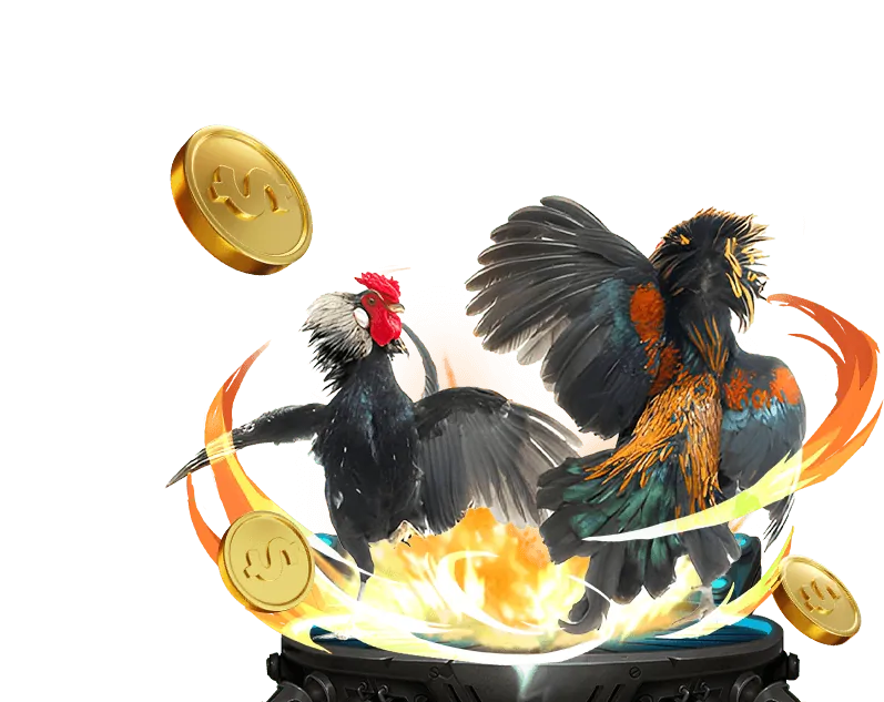 Trách nhiệm và nghĩa vụ của người dùng 189bet casino